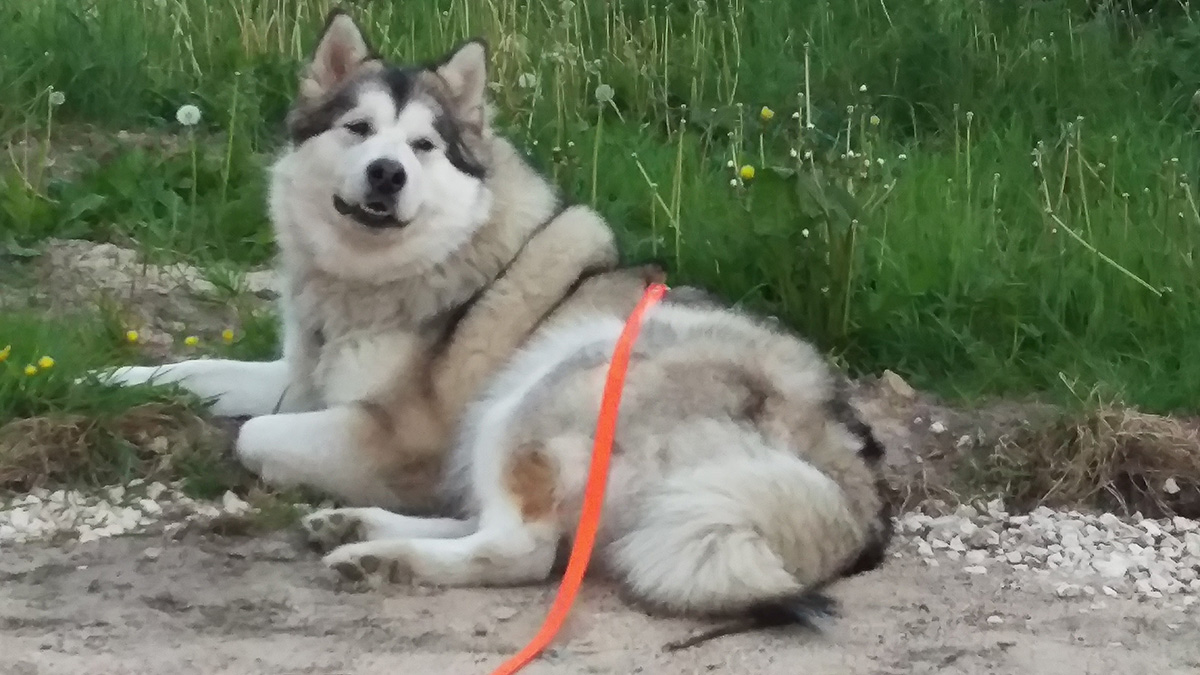 Manami sitzt im wilden Garten des neuen Zuhauses.