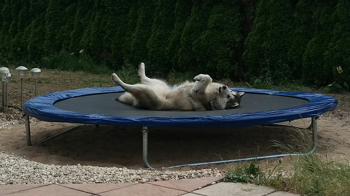 Manami liegt entspannt auf ihrem Trampolin im Garten.