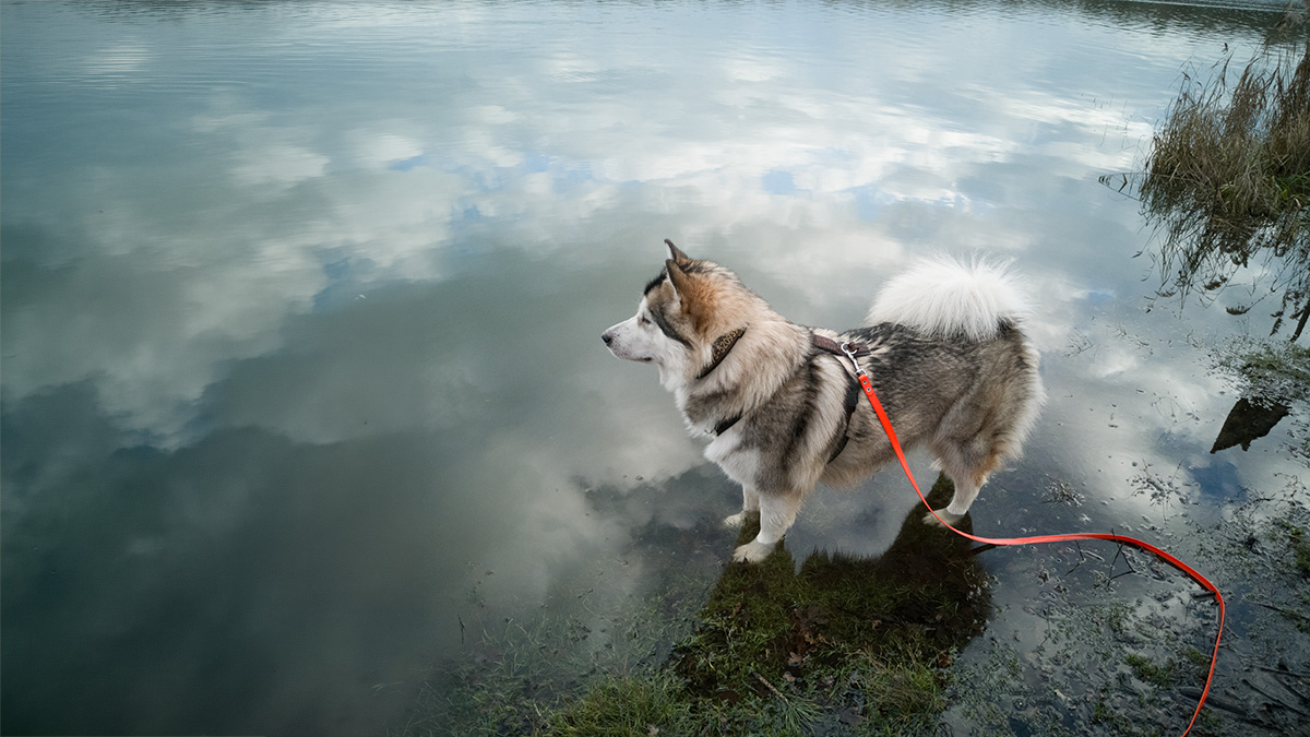 Manami steht in einem See. Die Wolken spiegeln sich im Wasser.