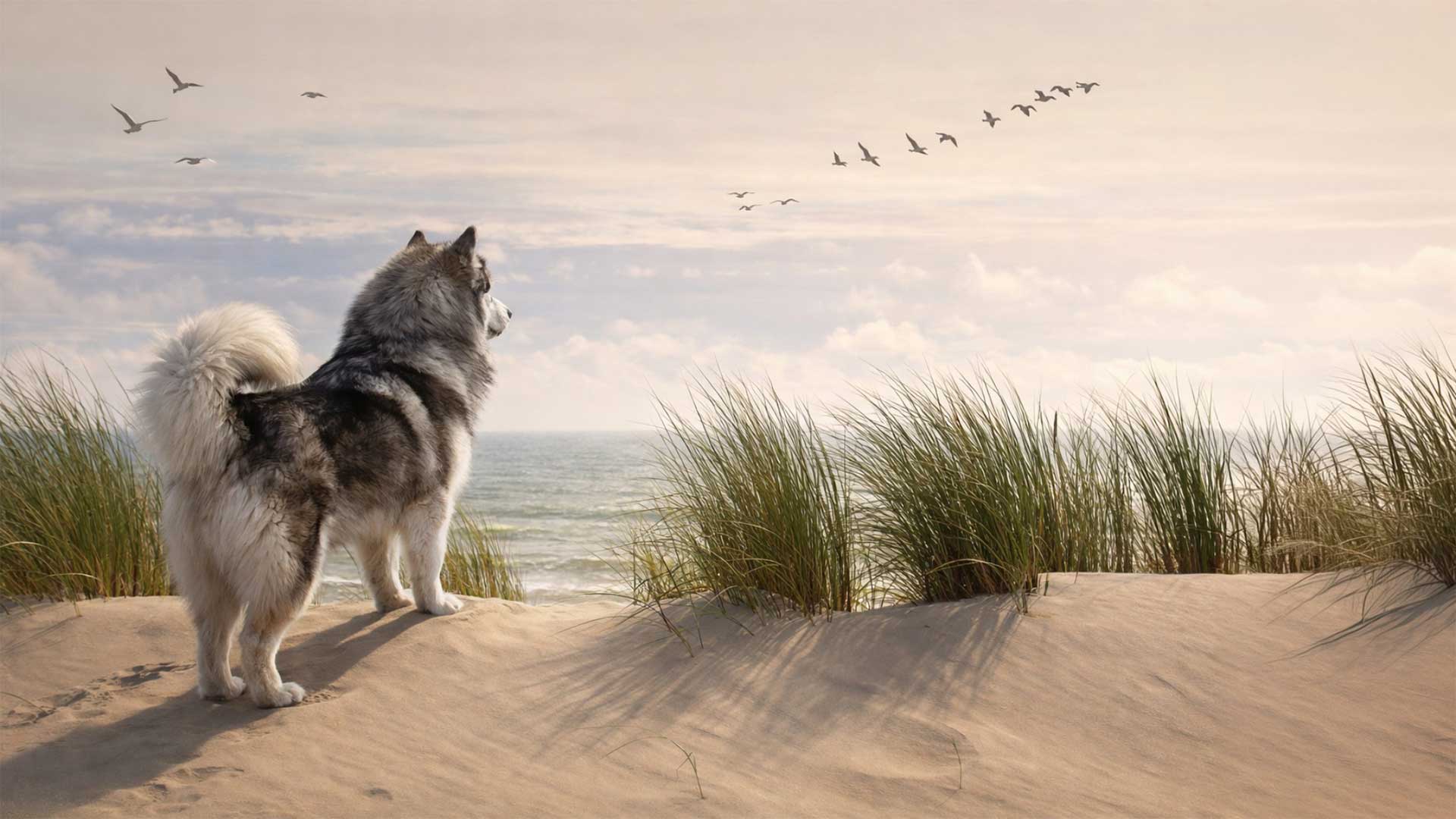 Manami am Meer