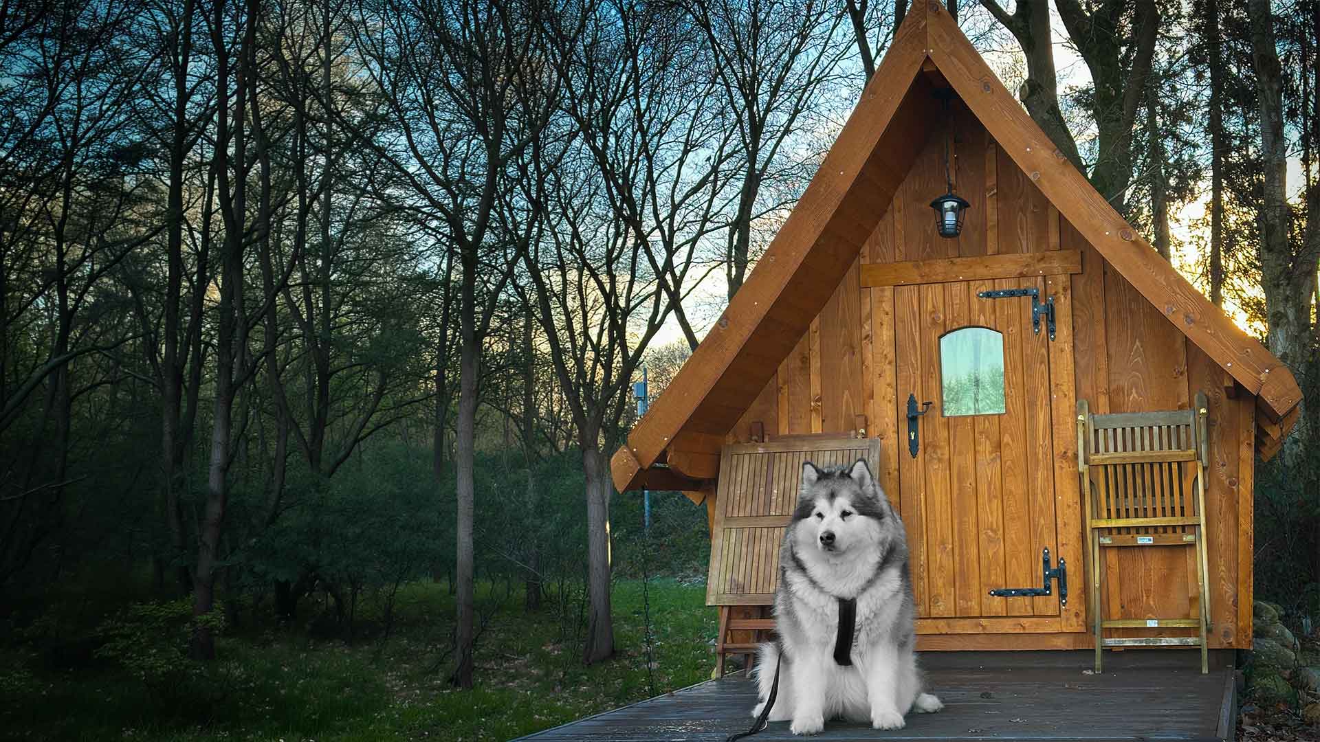 Manami sitzt vor einer kleinen Holzhütte im Wald