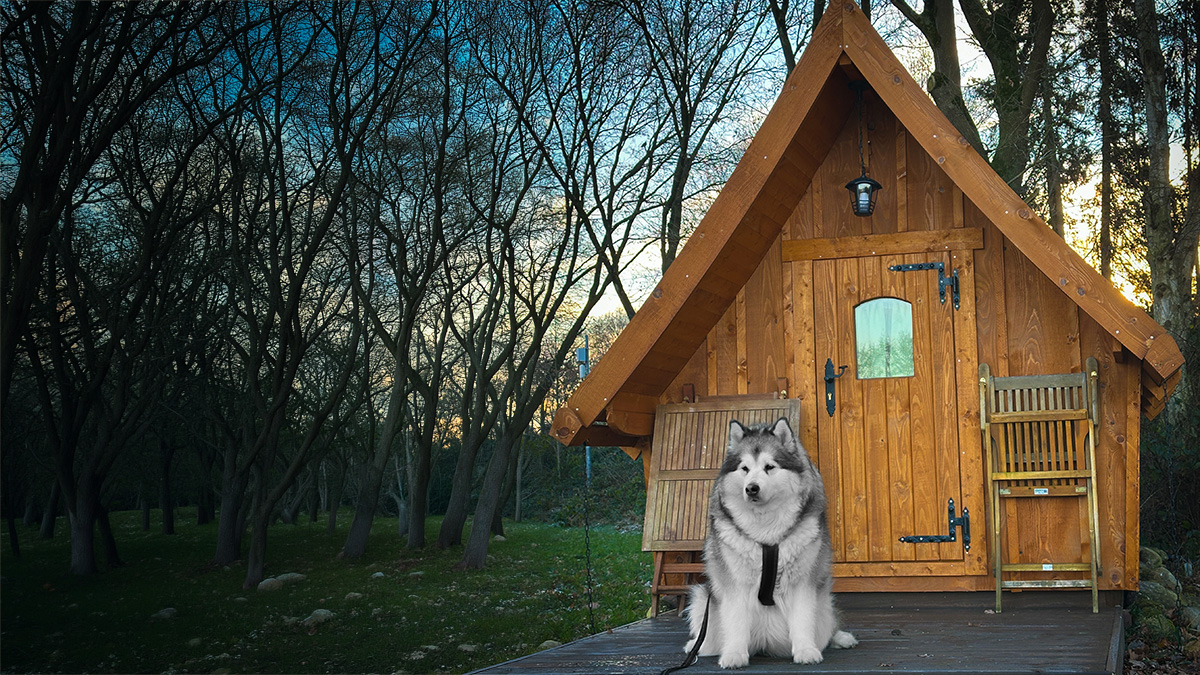 Manami sitzt vor einer kleinen Holzhütte im Wald