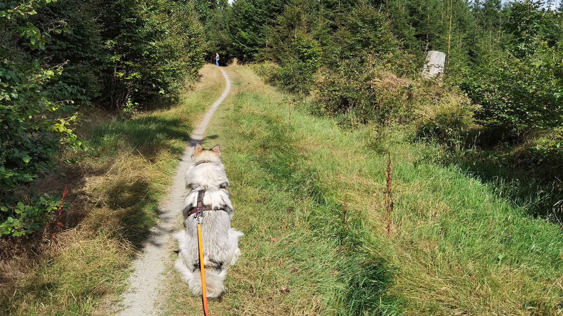 Manami im Wald