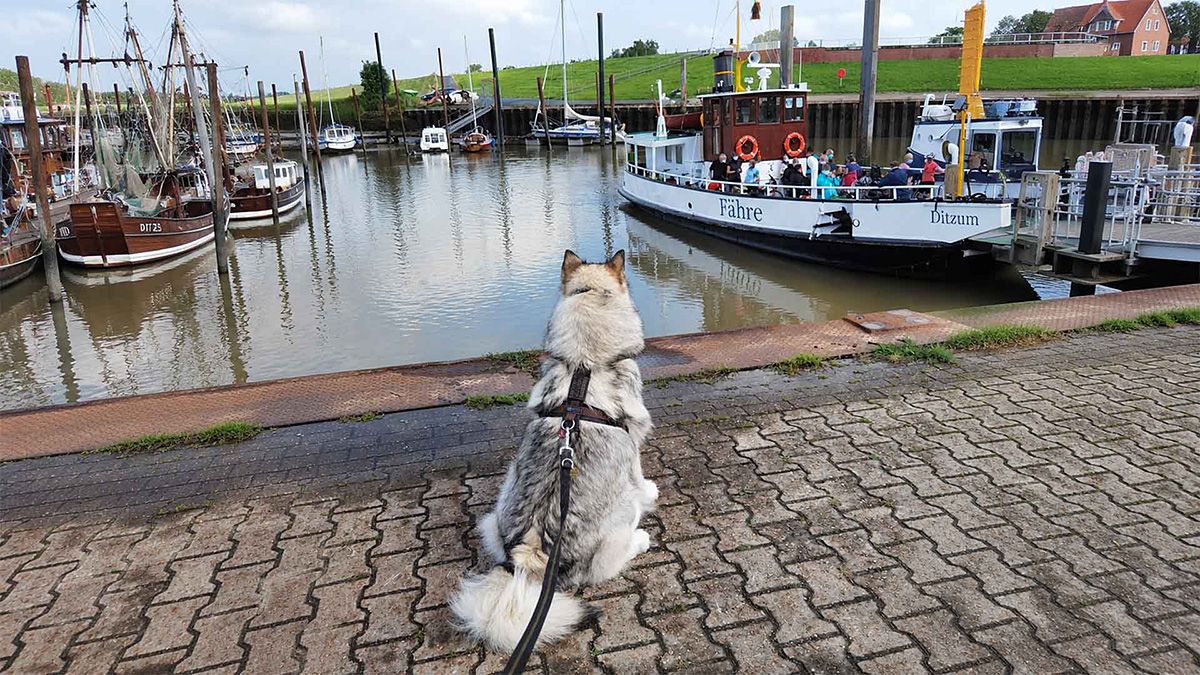Manami sitzt am Hafen und schaut der Fähre hinterher
