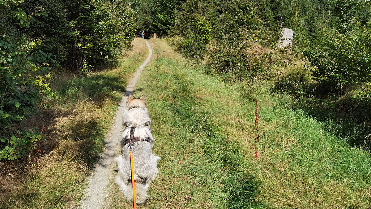 Manami im Wald
